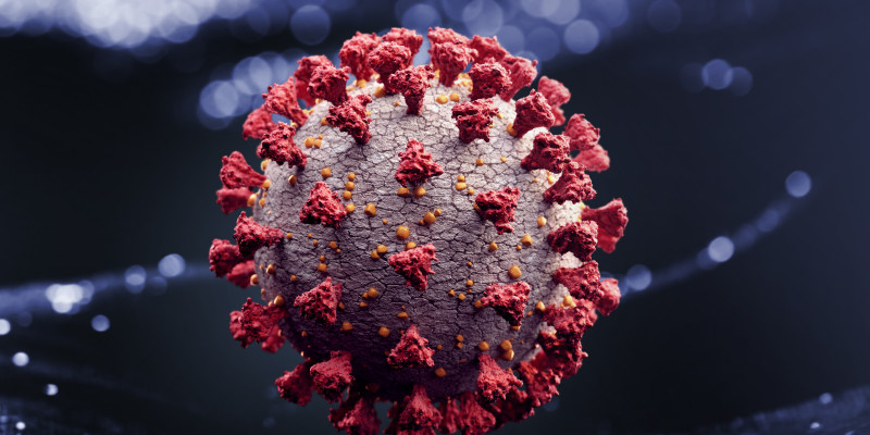 2021 corona virus krise