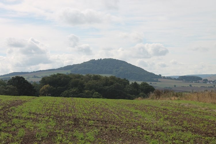 2023-gensungen-burg-heiligenberg