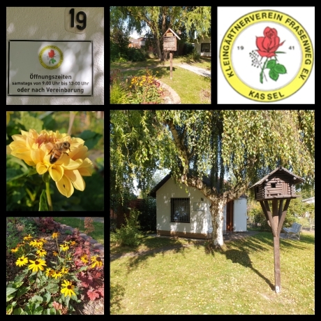 kassel-kleingartenverein-frasenweg